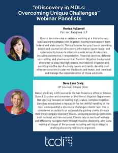 Meet the Panelists for eDiscovery in MDLs On-Demand Webinar